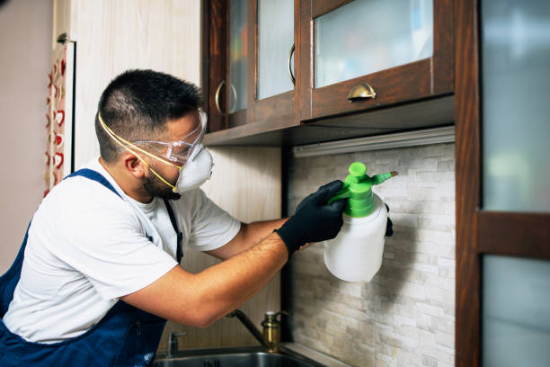Best Pest Prevention Services  in Mcpherson, KS