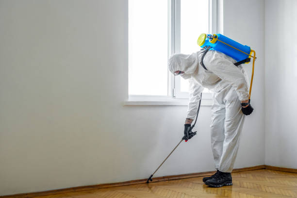 Best Wasp Removal Services  in Mcpherson, KS