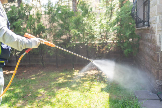 Best Local Pest Control Services  in Mcpherson, KS