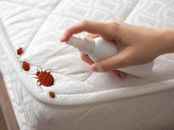 Best Best Pest Control Companies  in Mcpherson, KS