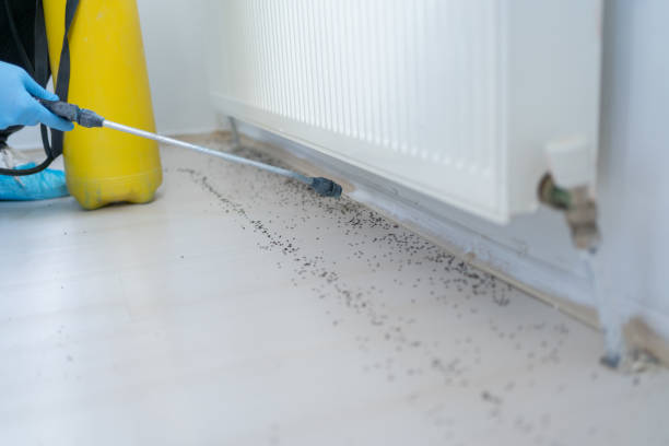 Best Affordable Pest Control Services  in Mcpherson, KS